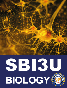 Sbi3u Biology 11